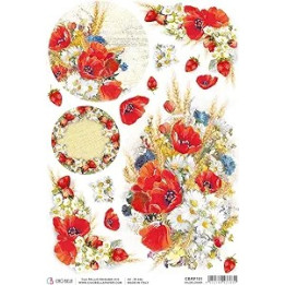 copy of 